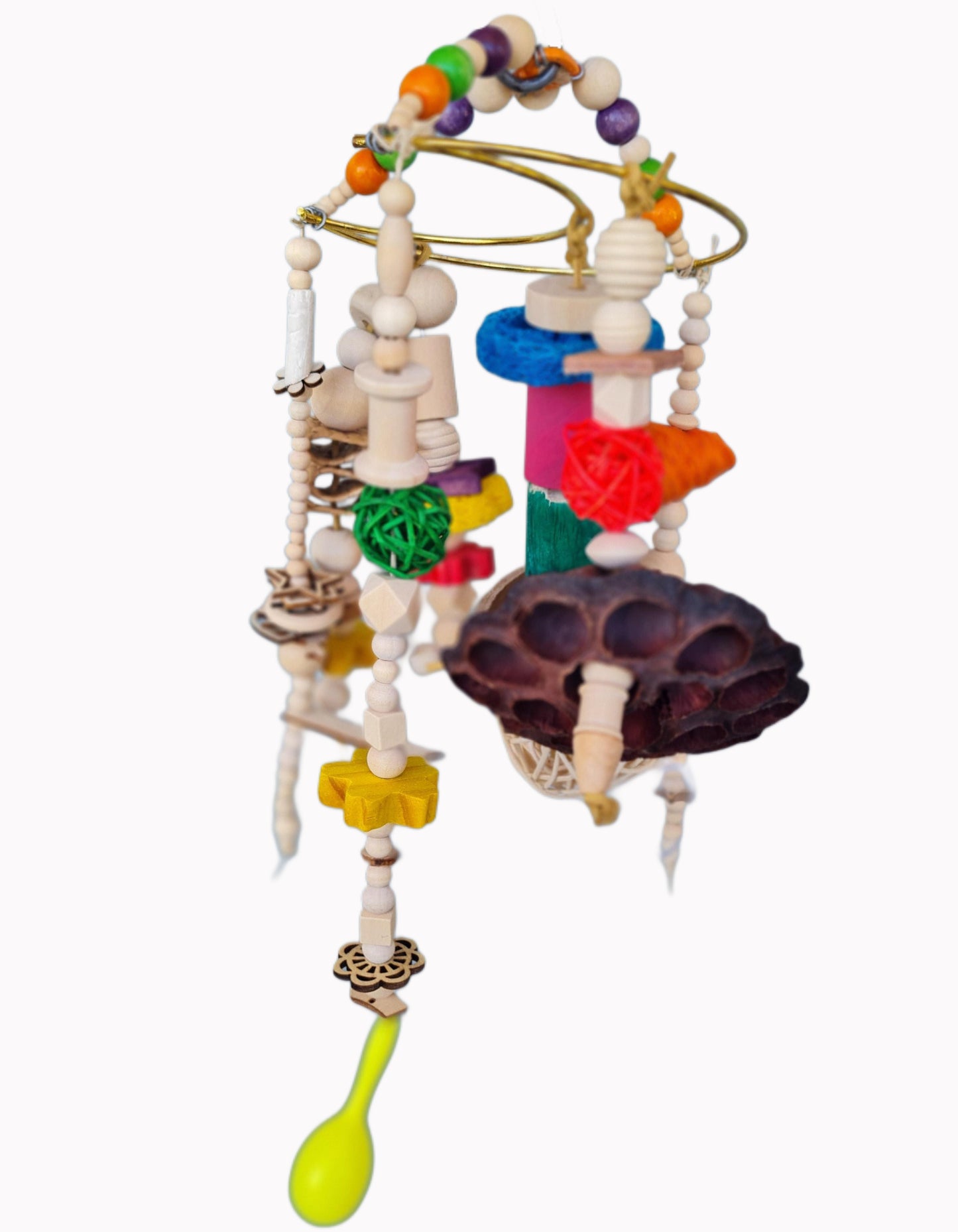 Small Feathered Forager Bird Toy - Moon