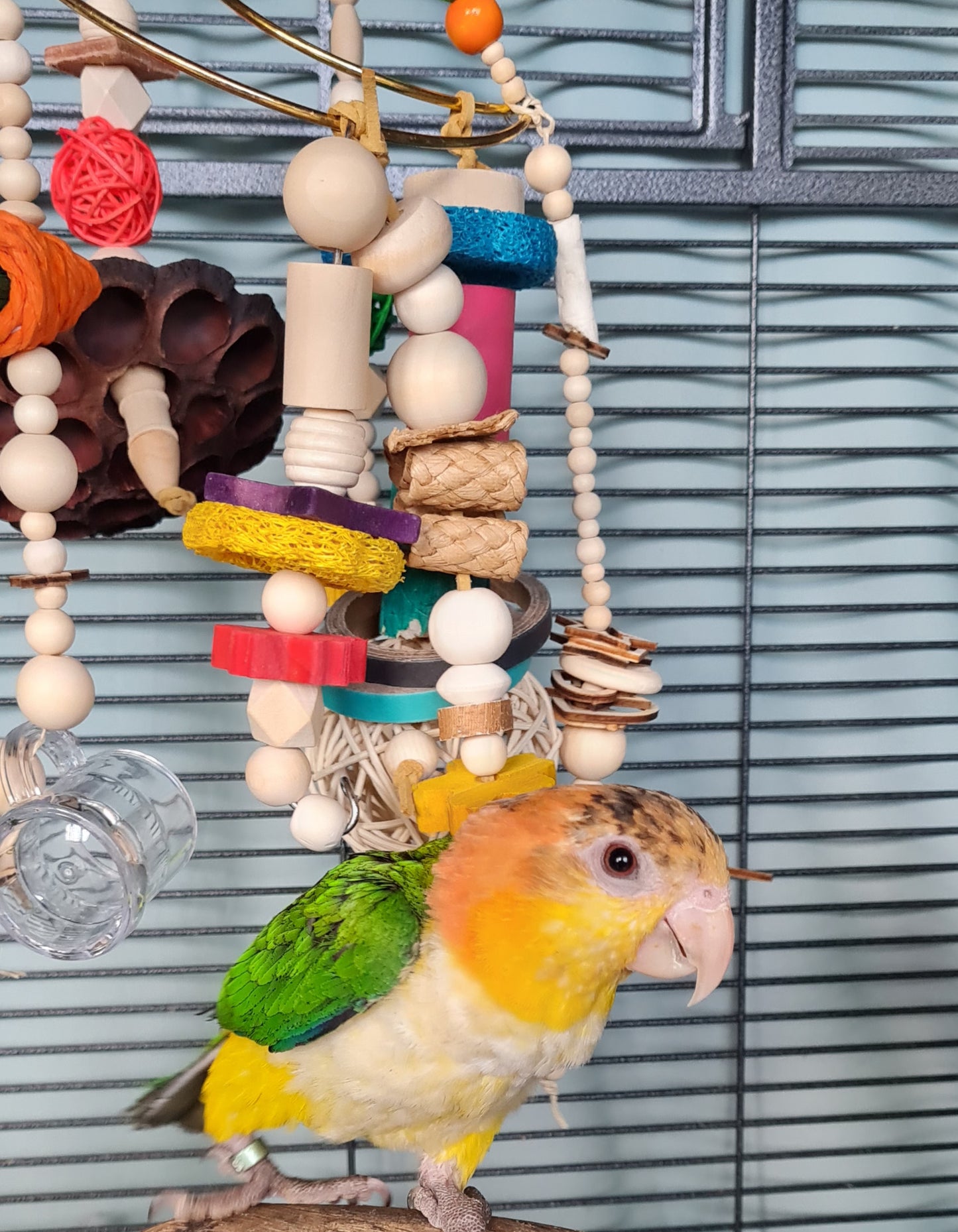 Small Feathered Forager Bird Toy - Moon