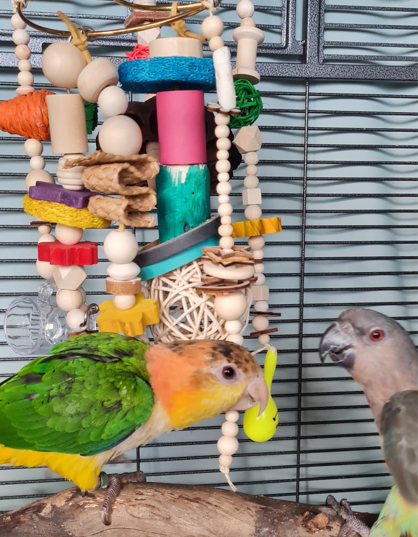 Small Feathered Forager Bird Toy - Moon