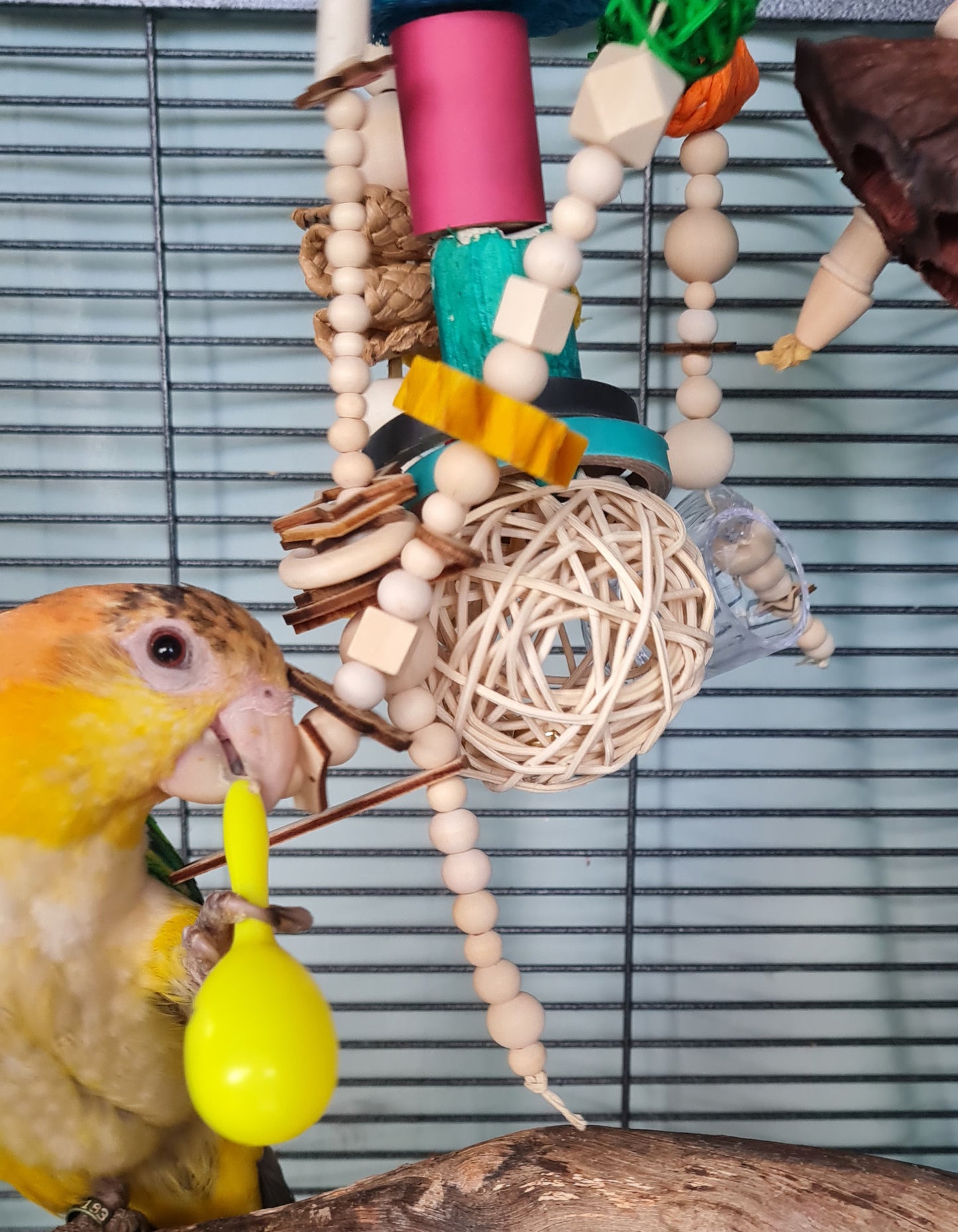 Small Feathered Forager Bird Toy - Moon