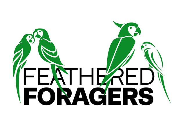 Feathered Foragers